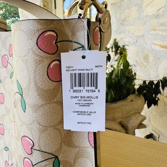 Coach Mollie Bucket Bag Signature Canvas With Cherry Print NWT Womens Holiday - Picture 8 of 8